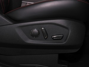 2021PLUS EcoBoost 245 ST-Line 5  g