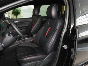 2021PLUS EcoBoost 245 ST-Line 5  {