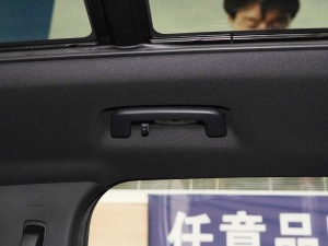 2021PLUS EcoBoost 245 ST-Line 5  g