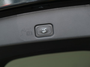 2021PLUS EcoBoost 245 ST-Line 5  g