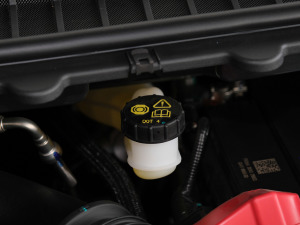 2021PLUS EcoBoost 245 ST-Line 5  