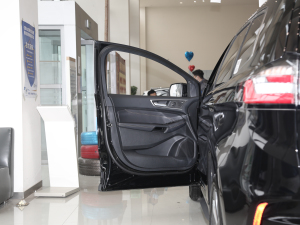 2021PLUS EcoBoost 245 J 7  g