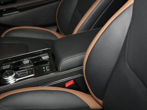 2021PLUS EcoBoost 245 J 7  g