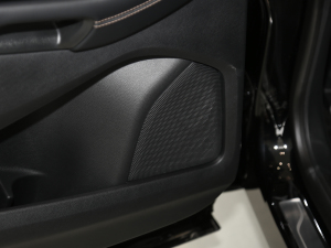 2021PLUS EcoBoost 245 J 7  g