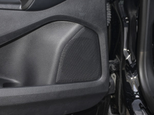 2021PLUS EcoBoost 245 KJ 5 g