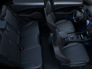 2021S(q)棨(bio)(zhn)m(x) g