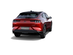 2021o(w)(q)A棨L(zhng)m(x) w^