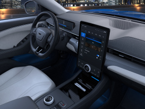 2021o(w)(q)A棨L(zhng)m(x) п؅^(q)