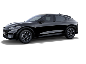 2021׷L(fng)ȫ(q)A棨L(zhng)m(x) w^