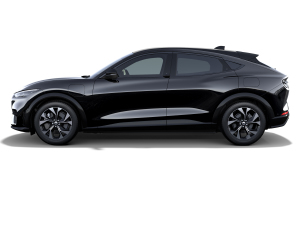 2021׷L(fng)ȫ(q)A棨L(zhng)m(x) w^