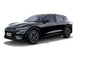 2021׷L(fng)ȫ(q)A棨L(zhng)m(x) w^