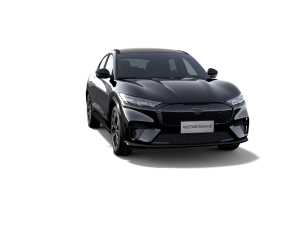 2021款追风全驱豪华版（长续航） 整体外观