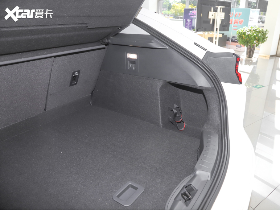 2022��EVOS EcoBoost 245 �L�а�