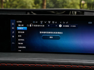 2022款EcoBoost 245 首发限量版 中控区