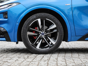 2022EcoBoost 245 ST-Line (ji)^