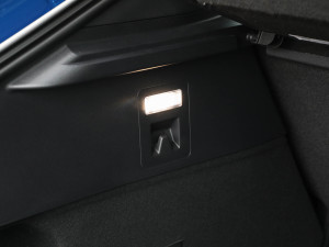 2022EcoBoost 245 ST-Line g