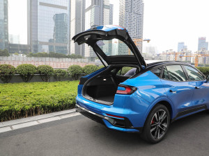 2022EcoBoost 245 ST-Line g