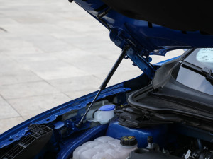 2022EcoBoost 245 ST-Line 