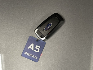 2022款EcoBoost 245 ST-Line 车钥匙