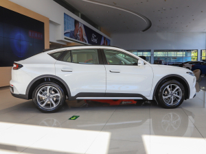 2022EcoBoost 245 Lа ȣң