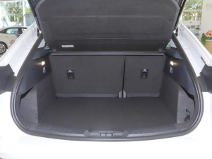 2022EcoBoost 245 Lа g