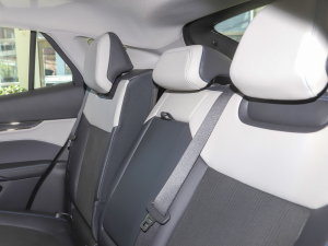 2022EcoBoost 245 Lа g