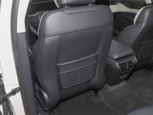 2022EcoBoost 245 Lа g