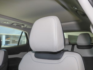 2022EcoBoost 245 Lа g