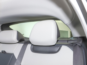 2022EcoBoost 245 Lа g