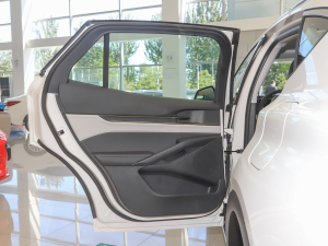 2022EcoBoost 245 L(fng)а ܇(ch)T(mn)