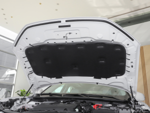 2022EcoBoost 245 Lа lәCœ