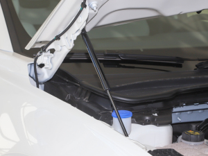 2022EcoBoost 245 Lа 