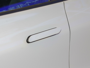 2022EcoBoost 245 \Ӱ {T