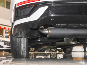 2022EcoBoost 245 \Ӱ ^