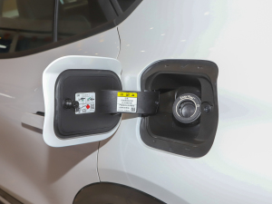 2022EcoBoost 245 \Ӱ ^