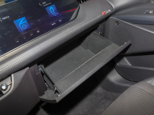 2022EcoBoost 245 \(yn)(dng) 