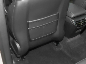 2022EcoBoost 245 \Ӱ g