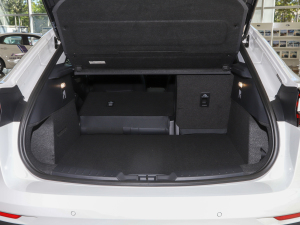 2022EcoBoost 245 \(yn)(dng) g