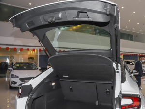 2022EcoBoost 245 \(yn)(dng) g