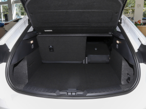 2022EcoBoost 245 \(yn)(dng) g