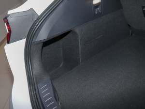 2022EcoBoost 245 \(yn)(dng) g