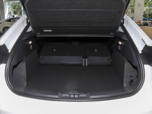 2022EcoBoost 245 \(yn)(dng) g