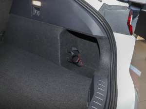 2022EcoBoost 245 \(yn)(dng) g