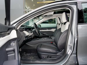 2022EcoBoost 245 Lа ǰſg