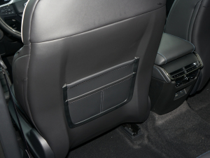 2022EcoBoost 245 Lа g