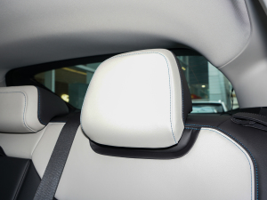 2022EcoBoost 245 Lа g