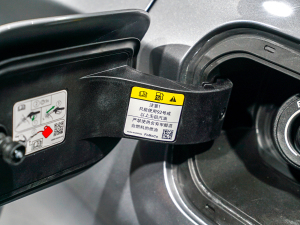 2022EcoBoost 245  (x)(ji)^