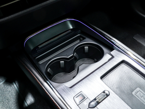 2022EcoBoost 245  ǰű