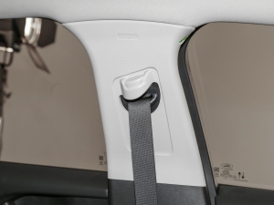 2022EcoBoost 245 r g