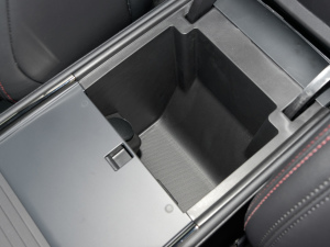 2022EcoBoost 245 A g